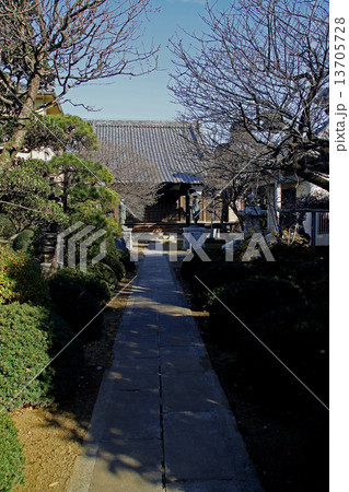 安楽寺(東京j・板橋) 安楽寺(東京j・板橋) 13705728