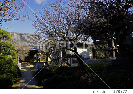 安楽寺（東京j・板橋） 13705729