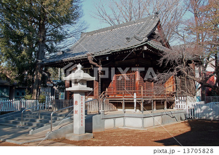 熊野神社(東京・板橋) 熊野神社(東京・板橋) 13705828
