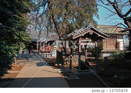 熊野神社（東京・板橋） 13705829