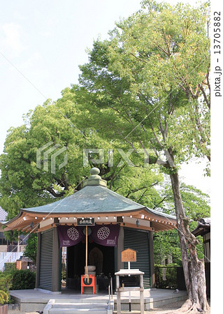 壬生寺 13705882