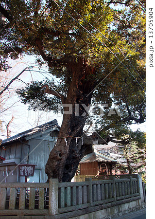 小豆沢神社(東京・板橋) 小豆沢神社(東京・板橋) 13705904