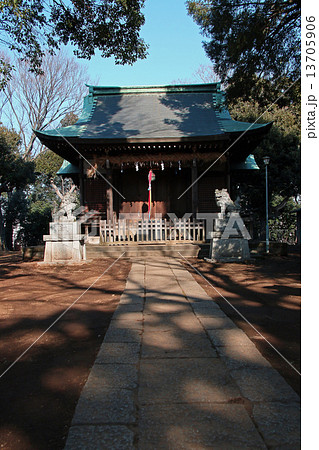 小豆沢神社（東京・板橋） 13705906