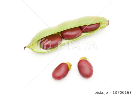 赤いソラマメ 赤いソラマメ 13706163