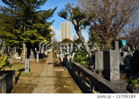 谷根千散歩・谷中霊園と高層マンション 13706189