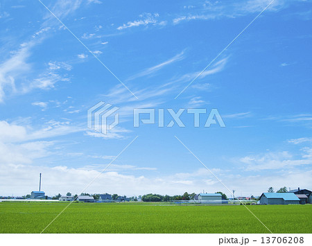 空と雲と田んぼ 13706208