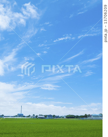 空と雲と田んぼ 13706209