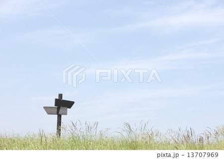 芝生と案内板 13707969