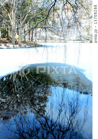 冬の雪に包まれる臥竜公園臥竜ケ池 冬の雪に包まれる臥竜公園臥竜ケ池 13708288