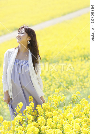 菜の花畑に立って空を見上げる笑顔の女性 13709364