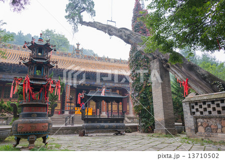 中国・甘粛省天水 南郭寺 中国・甘粛省天水 南郭寺 13710502