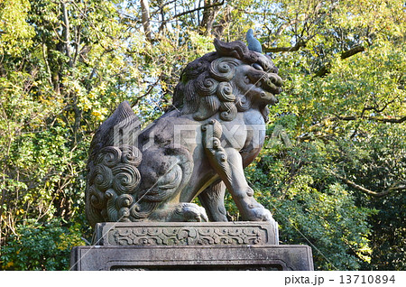 狛犬（八坂神社／京都市東山区祇園町） 13710894