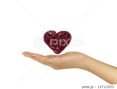 Love relation concept with the heart flower in between hand two Love relation concept with the heart flower in between hand two 13711053