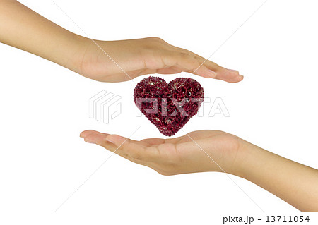 Love relation concept with the heart flower in between hand two Love relation concept with the heart flower in between hand two 13711054