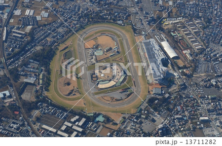 中山競馬場 13711282