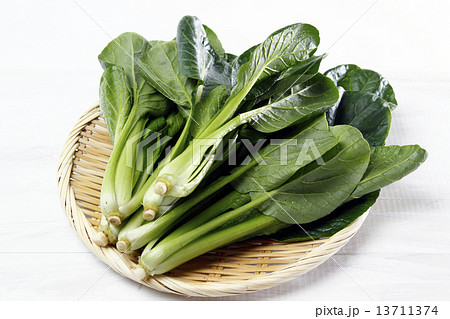小松菜 13711374