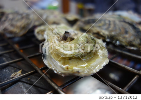 冬の牡蠣 冬の牡蠣 13712012