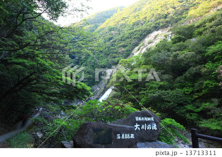 大川の滝 13713311