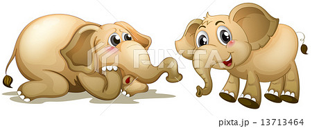 Two playful elephants 13713464