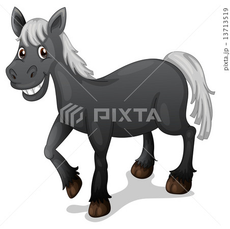 Black horse Black horse 13713519