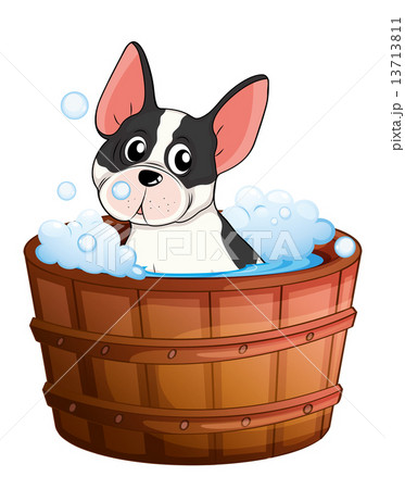 A dog taking a bath 13713811