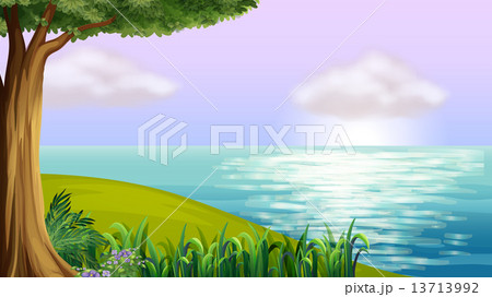 A clear blue sea 13713992