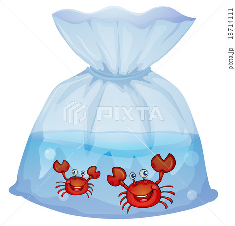 Crabs inside the plastic 13714111