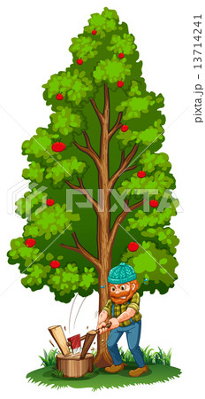 A man chopping near the fruit bearing tree A man chopping near the fruit bearing tree 13714241