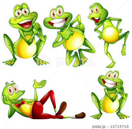 Frogs 13714710