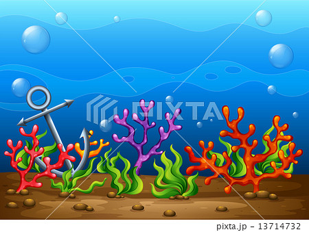 Underwater Underwater 13714732