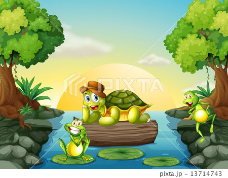 A turtle and the two frogs at the river 13714743