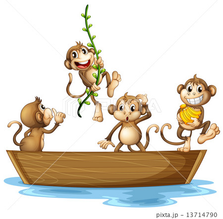 Monkeys on boat 13714790
