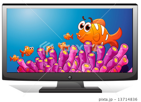 Television 13714836
