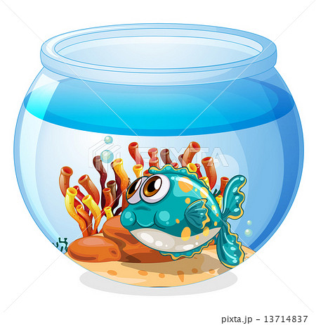 A fish inside the aquarium 13714837