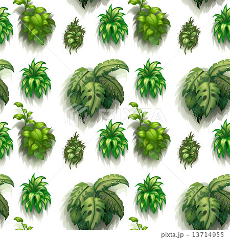 Seamless plants 13714955