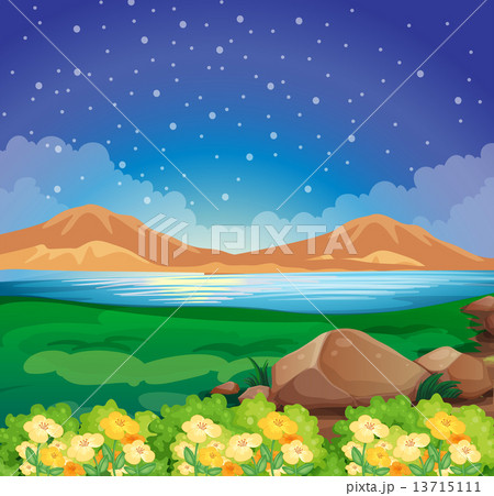 A view of the environment 13715111