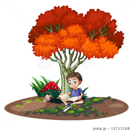 A boy reading under the tree 13715168