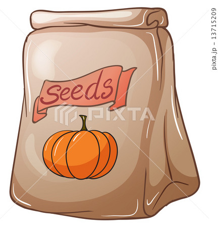 A pack of squash seeds A pack of squash seeds 13715209