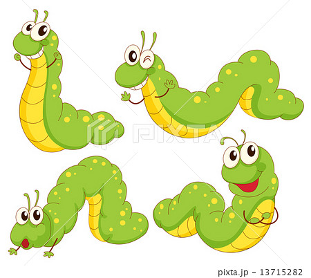 Four green caterpillars Four green caterpillars 13715282