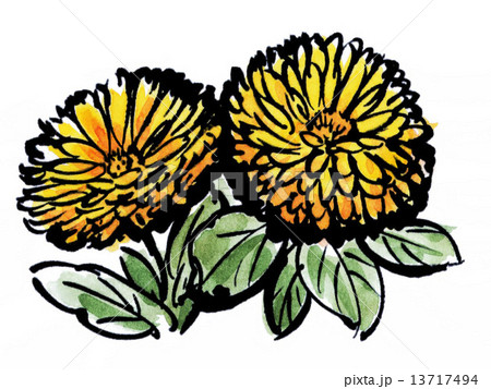 kinsenka15128pix7 13717494