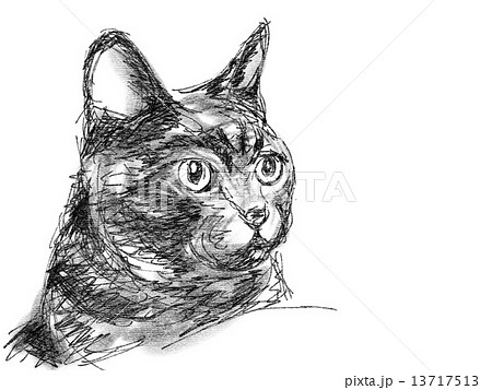 猫のイラスト ペン画風のイラスト素材