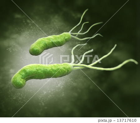 HELICOBACTER PYLORI 13717610