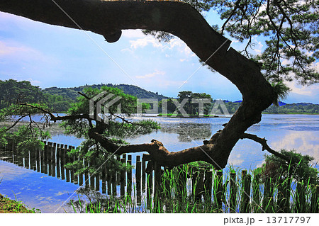 南湖公園 13717797