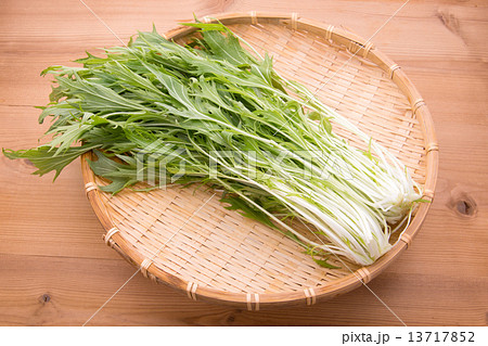 水菜 水菜 13717852