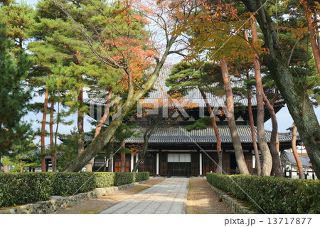 京都 秋の相国寺 法堂 京都 秋の相国寺 法堂 13717877