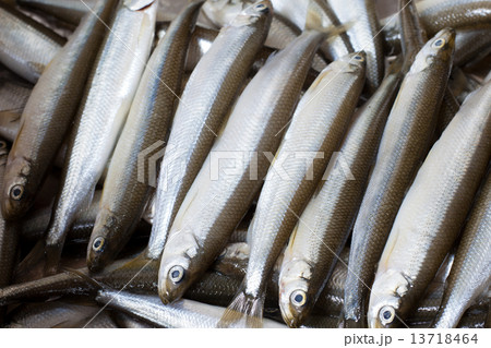 Fresh fish smelt 13718464