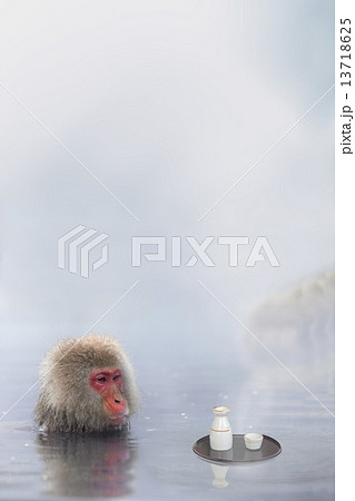 露天風呂で酒を飲む猿の写真素材