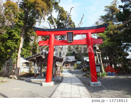 伊豆 下田 白浜 白浜神社 伊豆 下田 白浜 白浜神社 13718813