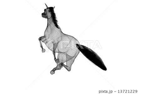 Running Horse 13721229