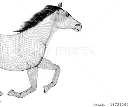 Running Horse 13721242